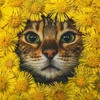 ФанфикТайм