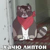 Самый весёлый чебурек в мире