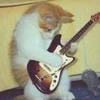 MetalFoxx