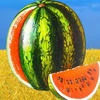 Кавун Фикбучный