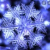 Snow_beauty
