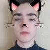 Мишель кот
