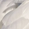 Анна Велес