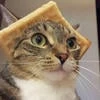 Я котлета пон