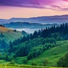 Vrafa_83