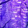 Le coin livre de Violette