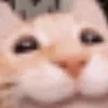 Kiviko0