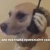 Живу_ради_треша.