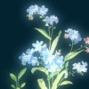 NyokoDes