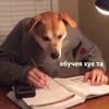 Млекопитающая