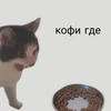 стрельникова.
