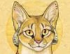 Gato de goma
