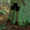Пламя Че