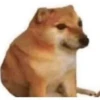 Darcetoss