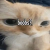 hynya