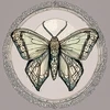 Mint paints
