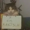 tetsuk