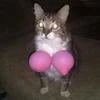 Коллектив творцов