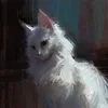 Allo_da