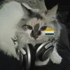 aexwinc