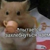 Sad chelovechek