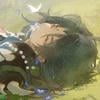 Animinu