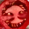 помидоркааа