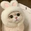 Cutenessoverload