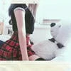 Steicy___