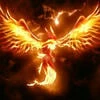 Lone_Phoenix