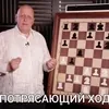 Elka_yes