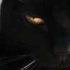 MacCat