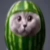 Энност
