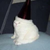 пакет кофе
