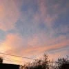Бабушка Алькора