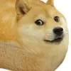 Voidsz