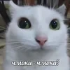 Безымянный цветочек