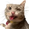 Rriiiinn_ss