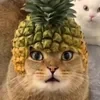 Медведь с кофе