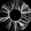 splendidscience