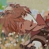 Dodoka