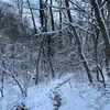 SohuriATII