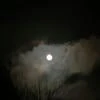 secret nightmare
