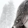 darya.golovckina