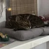 Miryna_q