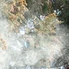 жемчужная_пыль