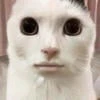 Чурка из космоса