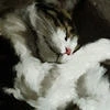 Юлия Вишнневская
