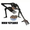 Черешня Тало