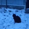 мирцам сгорает